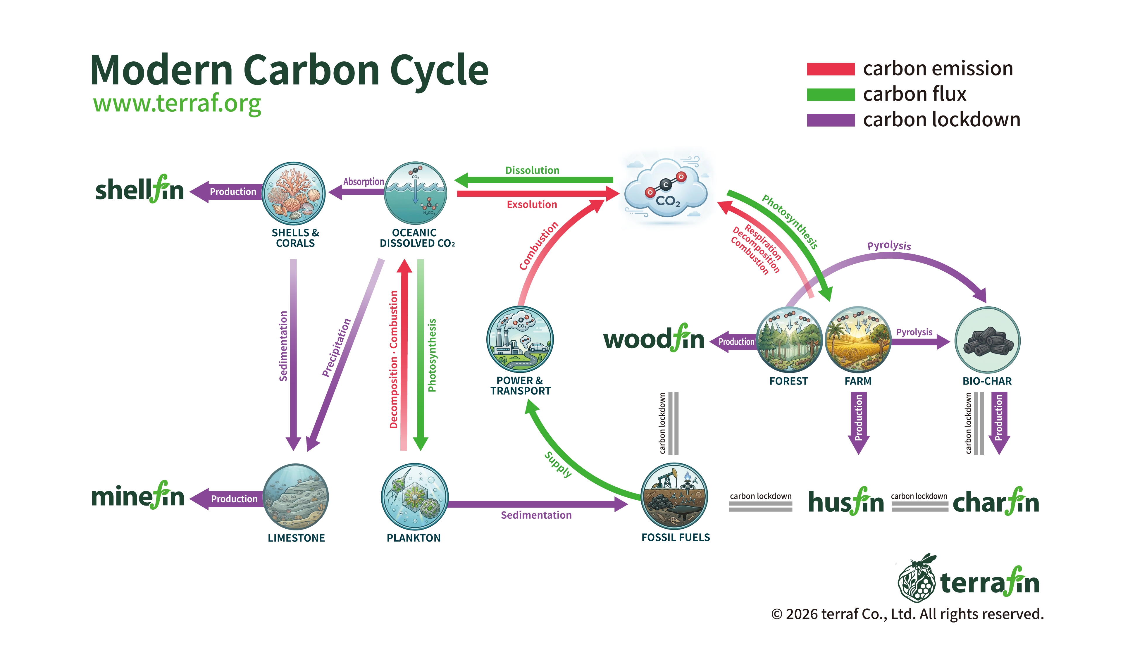 Modern Carbon Cycle — Terraf